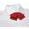 Red Adjustable Band Polyester Satin Floppy Bow Tie